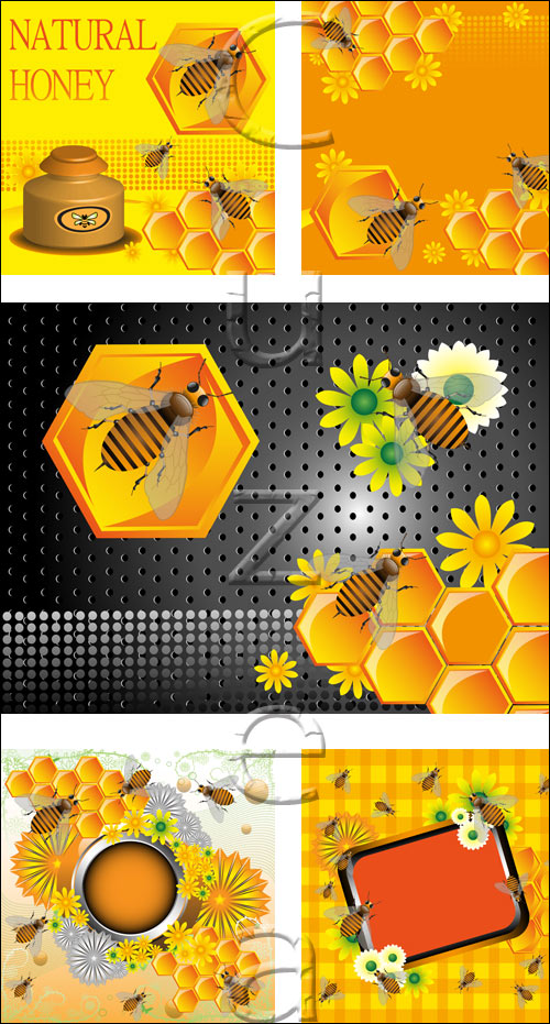        / Natural honey backgrounds in vector