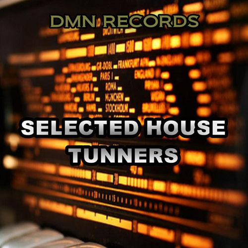 VA - Selected House Tunners (2013)