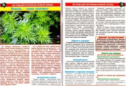 Золотой сборник лекарственных трав. Все травы для укрепления нервной системы (№8, август / 2013)