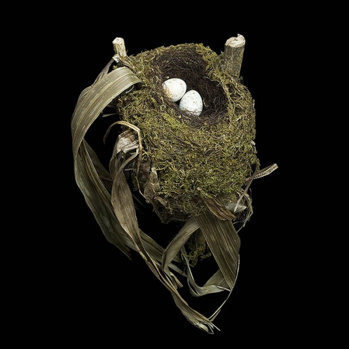 Птичьи гнезда - построенные с особым талантом