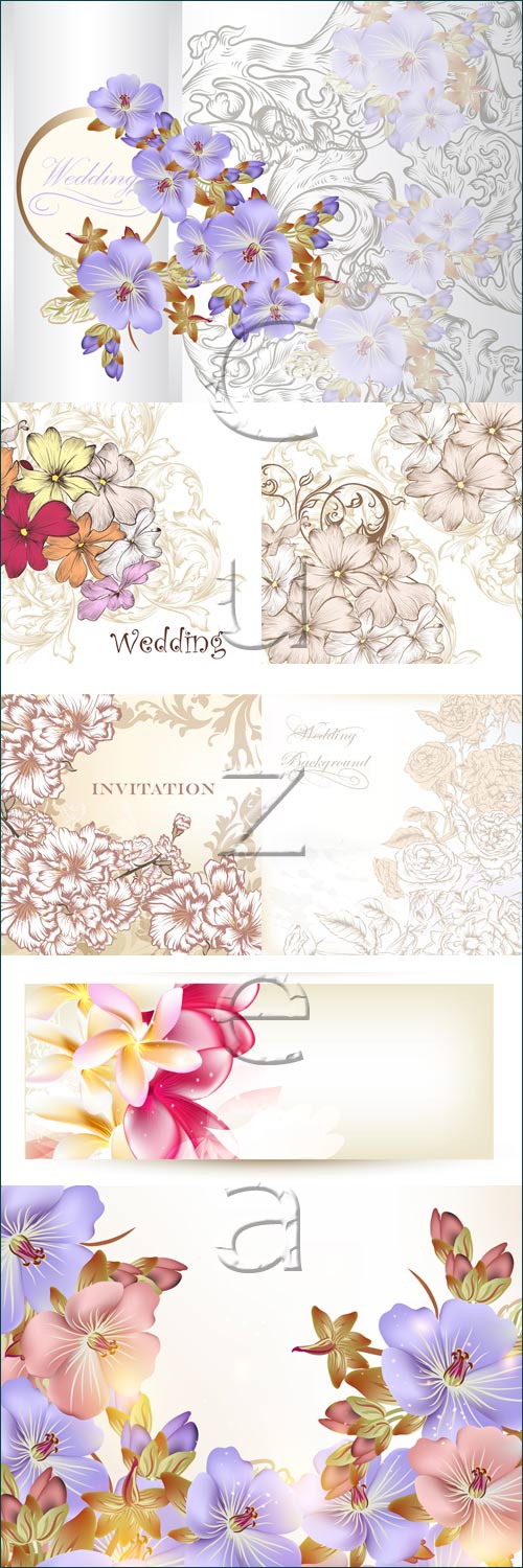 Wedding floral backgrounds - vector stock