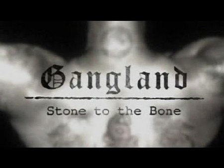  :       / Gangland: Stone to the Bone (2007) SATRip