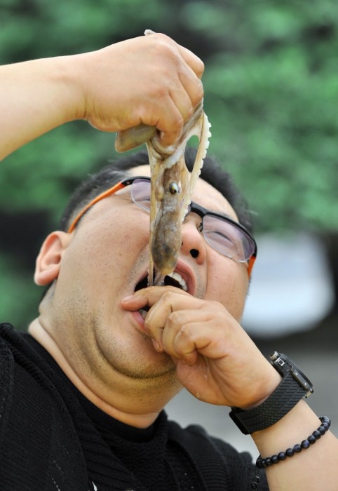 Южная Корея - кулинарный фестиваль поедания живых осьминогов (фото + видео)
