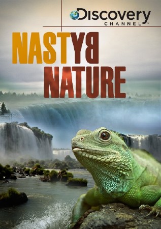 Discovery:    / Discovery: Nasty by Nature (2008) HDTVRip-AVC