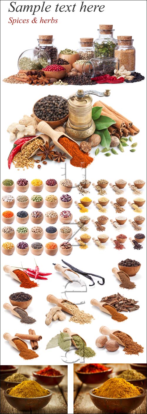 Spices collection - stock photo
