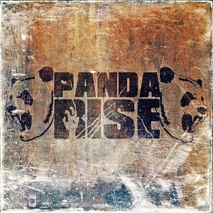 Pandarise – Никто не должен (Single) (2013)