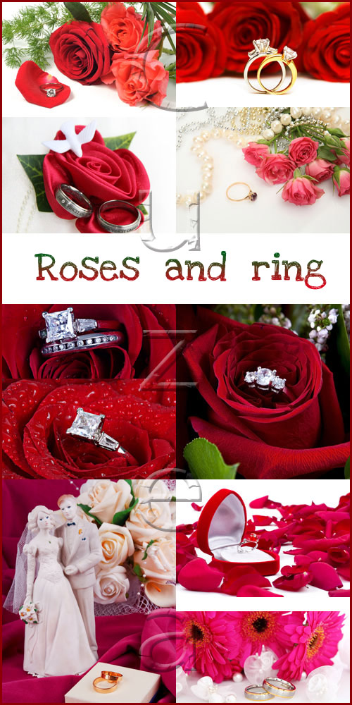 Red roses and wedding rings - stock photo