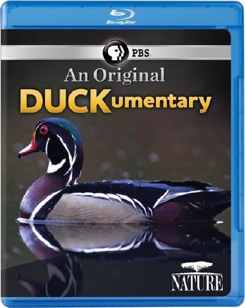      / PBS: Nature  An Original DUCKumentary (2012) BDRip