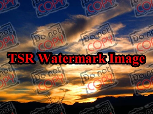 TSR Watermark Image 2.5.1.5 RuS + Portable