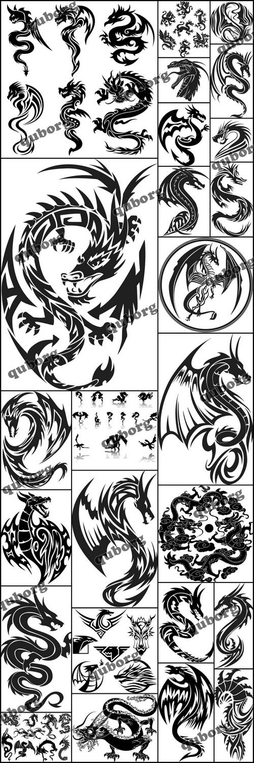 Stock Vector - Dragon Tattoo