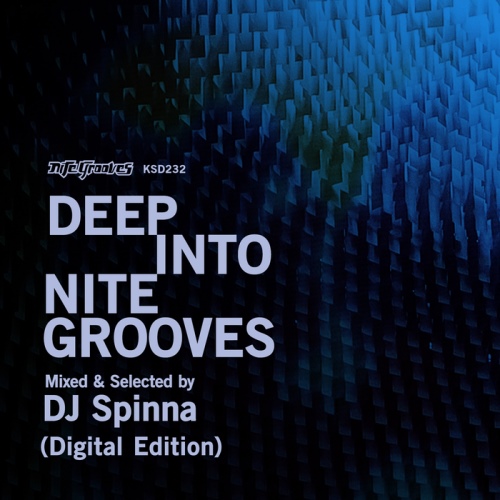 VA - Deep Into Nite Grooves: Mixed & Selected By DJ Spinna (2013)