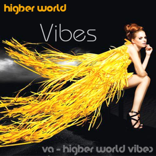 VA - Higher World Vibes (2013)