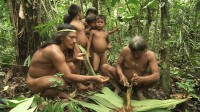 ,    / Guarani, the people of the selva (Ekwador: Ludzie lasow tropikalnych) (2008) BDRip (AVC)