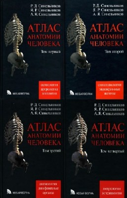Синельников Р., Синельников Я. - Атлас анатомии человека в 4 томах