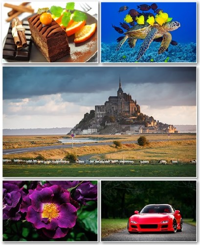 Best HD Wallpapers Pack 1043