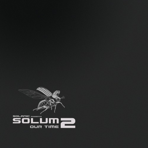 VA - Solum 2 - Our Time (2013) FLAC