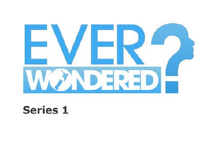  ! / Ever Wondered?  1 /  1 - 10 (2010) SATRip
