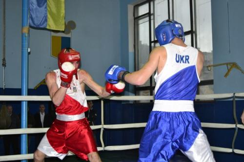 александрия бокс чемпионат области