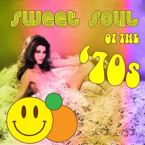 32c0c7f4000a4a1b675f4ccc0a916693 VA Sweet Soul of The 70s (2013)