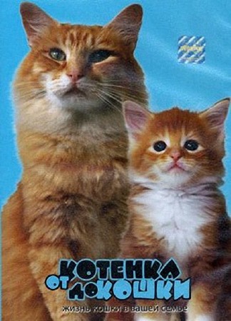 От котенка до кошки / Kittens to Cats (1999) DVDRip