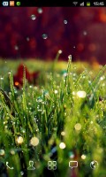 Galaxy S4 Rain n Grass LWP v1.0.6