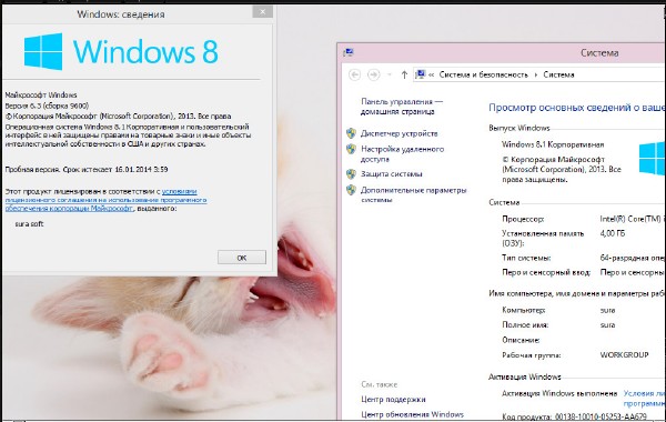 Windows 8.1 Enterprise RTM 9600 Final СУРА SOFT (x86/x64/2013/RUS) Офіційні російські версії