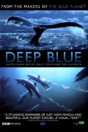 BBC:  / Deep Blue (2003) BDRip