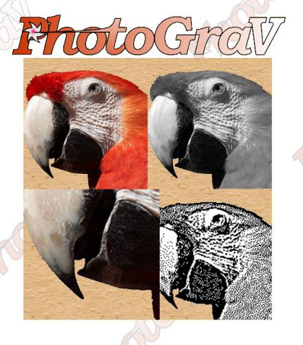 ImageLaz PhotoGraV 3.0.3 Portable