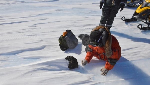 В Антарктике найден метеорит весом 18 кг.