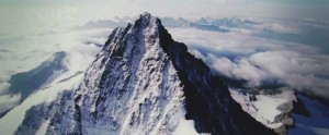 The Avalanche Diaries - Fiberglass Tree