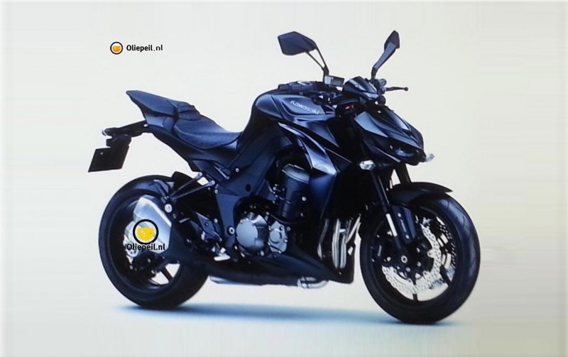 Первое фото Kawasaki Z1000 2014