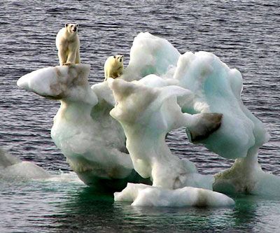 Россия и Норвегия разделили воды Арктики