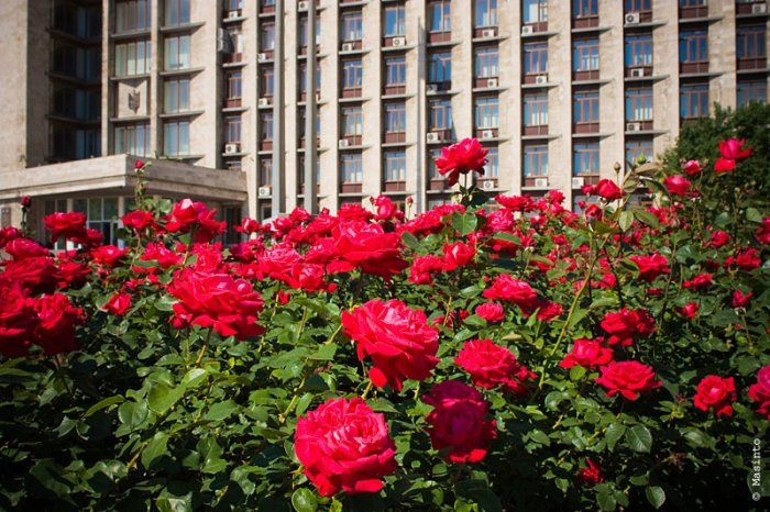 Донецк – «город миллиона роз»