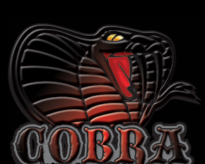 [CFW] COBRA CEX-4.46 v7.00