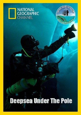 National Geographic.     / National Geographic. Deepsea Under The Pole (2010) HDTV (1080i)