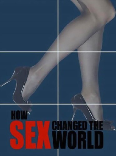    .    / How Sex Changed the World. Sex Gone Wrong (2013) SATRip