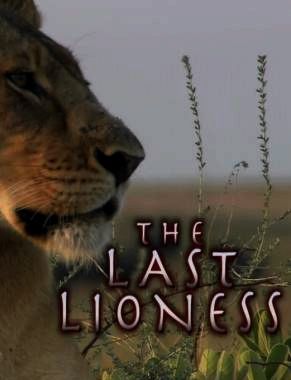 Lioness in exile watch online