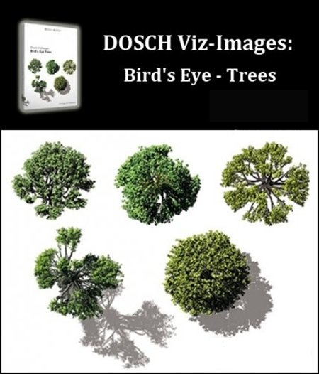 [3DMax] DOSCH DESIGN 2D Viz-Images Bird's Eye Trees