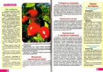 Золотой сборник лекарственных трав. Все травы от простудных заболеваний (№10, Ноябрь / 2013)
