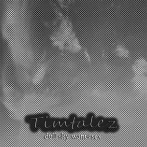 Timtalez -  Dull Sky Wants Sex (EP) (2013)