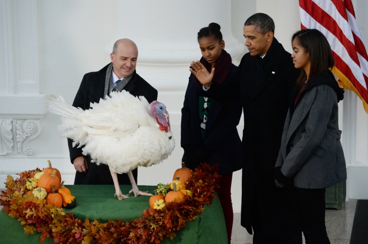 Обама по традиции "помиловал" индеек, доставленных в Белый дом ко Дню благодарения