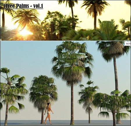 R&D Group iTrees Palms vol 1