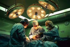 Австралия готовится отменить мораторий на опыты с ксенотрансплантацией