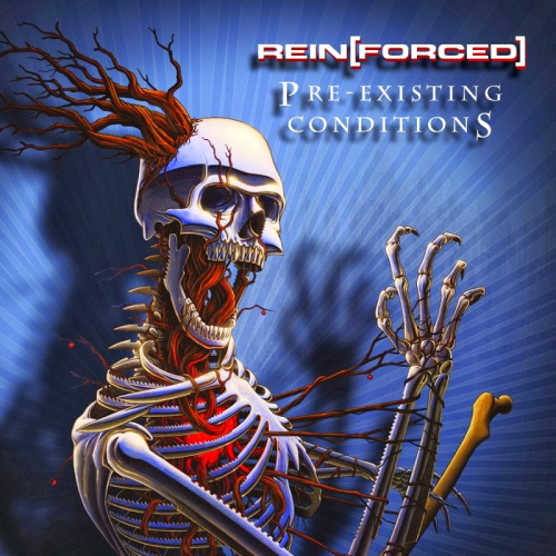 Rein[forced] - Pre-Existing Conditions (2013)