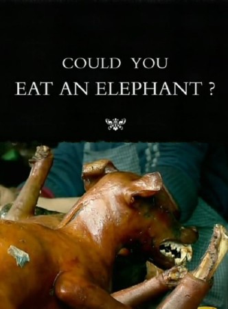     ? / Could You Eat an Elephant? (2009) SATRip