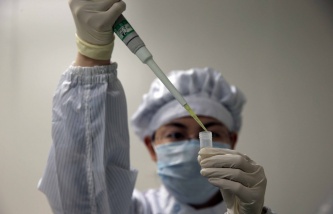 В южной китайской провинции Гуандун отмечен всплеск заболеваемости "птичьим гриппом"