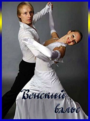 Венский вальс - Видеоурок (2009) DVDRip