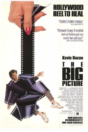   / The Big Picture (1989 / DVDRip)
