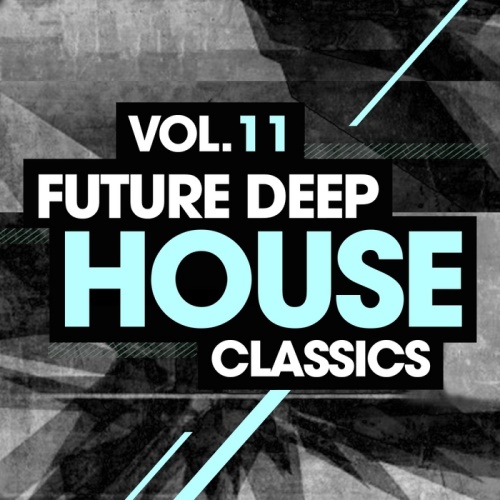 VA - Future Deep House Classics Vol. 11 (2013)