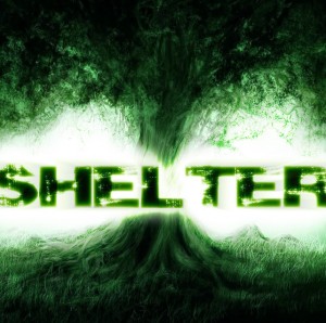Shelter - Playing the Victim (Single) (2014)